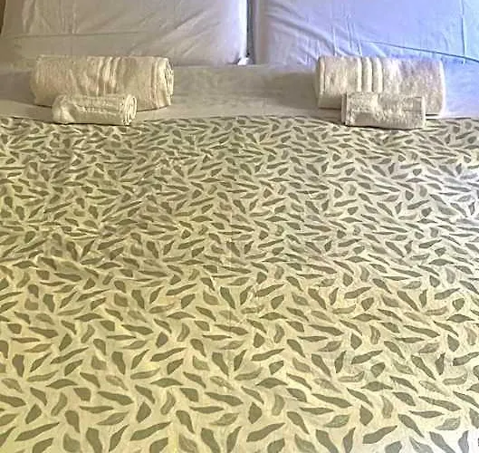 Domus Ferruccio 4* Roma